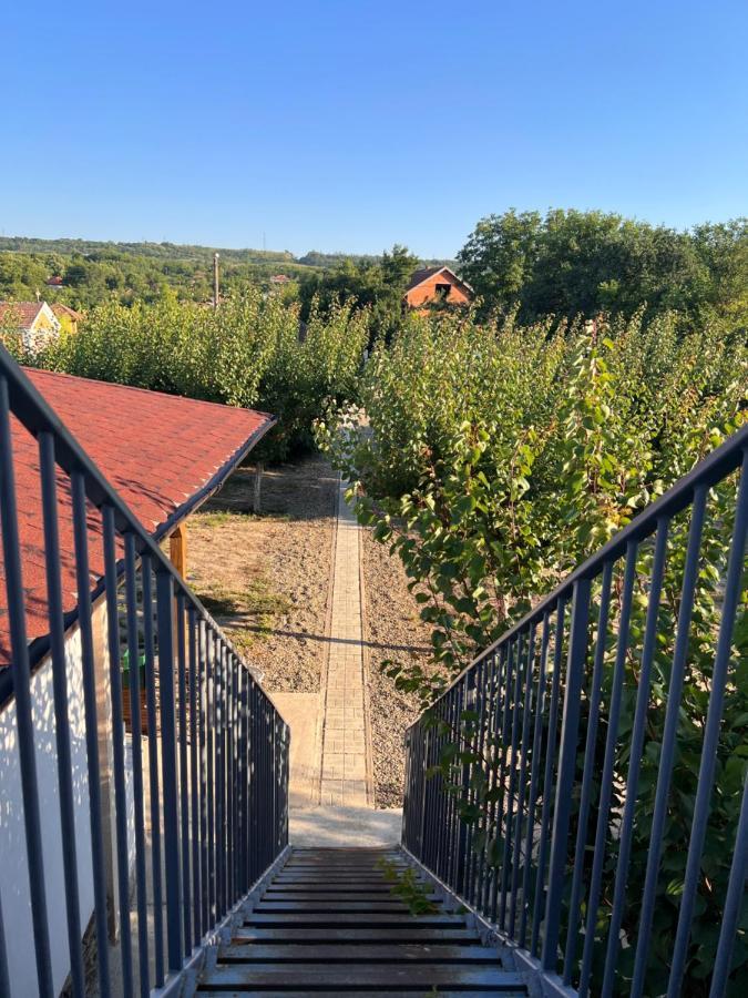 Къща За Гости Ненийски Lom Bagian luar foto