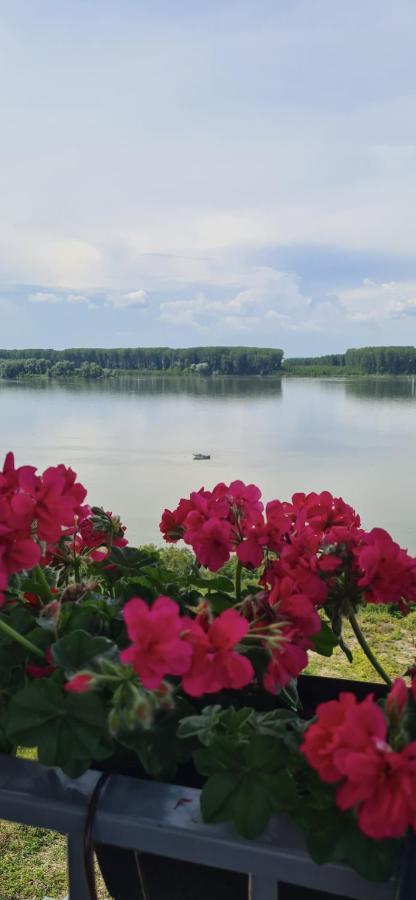 Къща За Гости Ненийски Lom Bagian luar foto